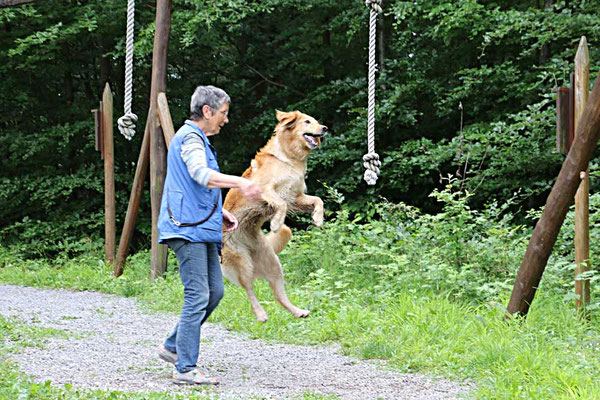 ... ich hab´s kapiert: festhalten und hochklettern ...