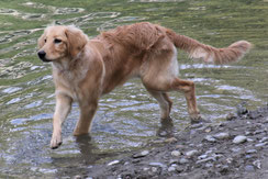 Pietje, 5 Monate alt