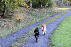 ... die gemeinsame Richtung stimmt